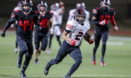 Realtor Michael S. Ray Athlete of the Week: L.B. Hayes reels in school-record 16 receptions vs Westmoore